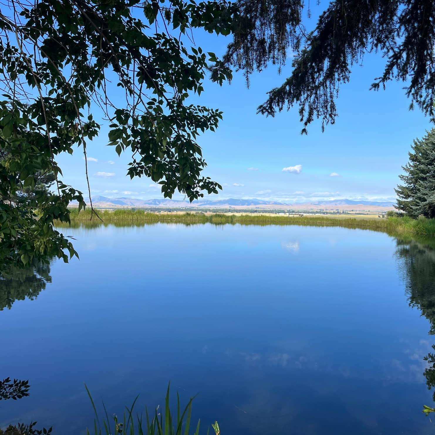 Mere’s Magic Trout Pond Camping The Dyrt