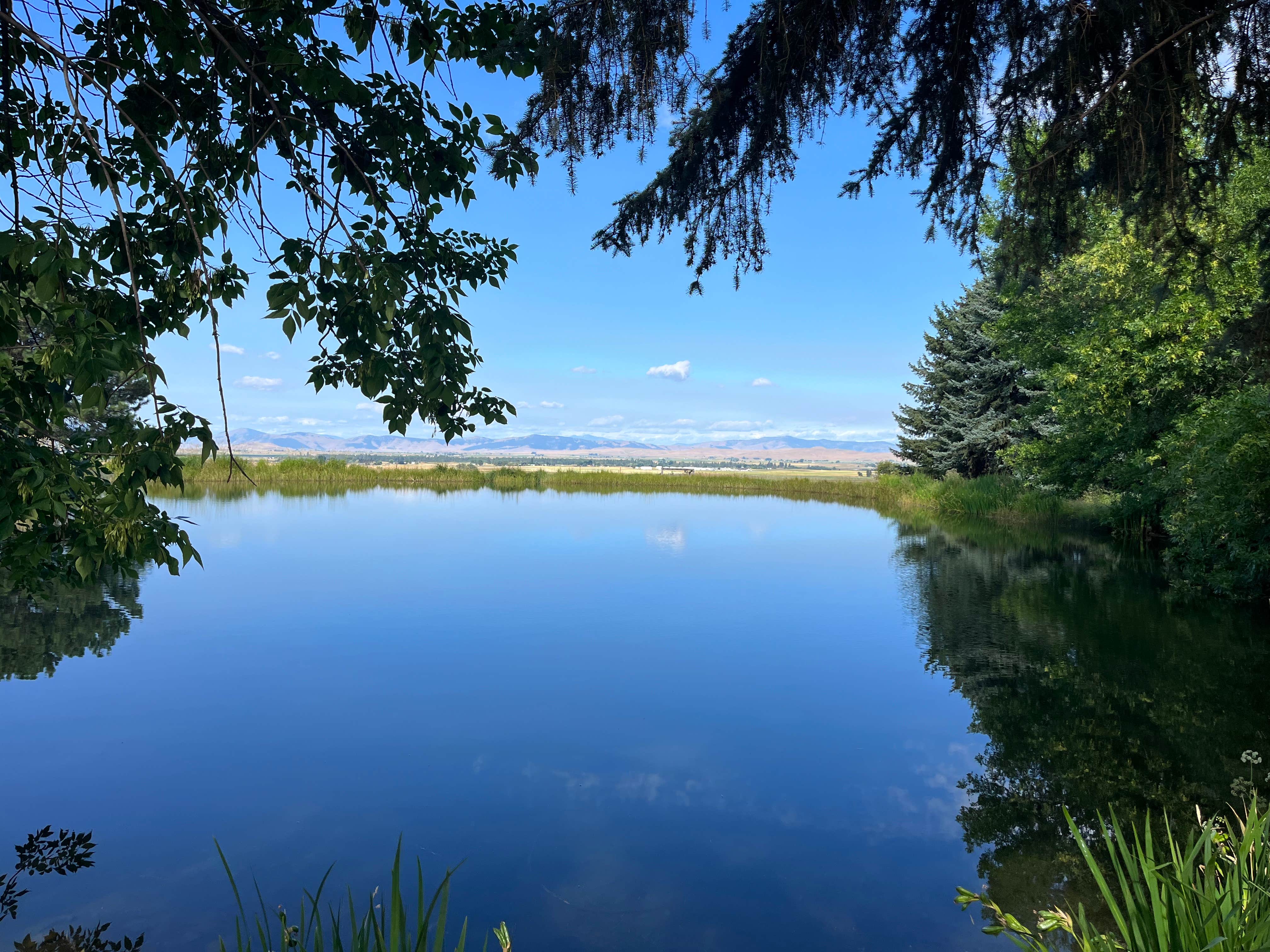 Camper submitted image from Mere’s Magic Trout Pond - 3