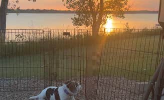 Suzy's photo of camping with pets at Venango Park near Minneapolis, KS