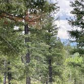 Review photo of Ice Cave Rd Dispersed Site - Pike National Forest by Chris P., July 26, 2023