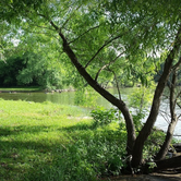 Review photo of Long Hunter State Park Campground by Joshua G., October 25, 2018