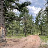 Review photo of Ice Cave Rd Dispersed Site - Pike National Forest by Chris P., July 26, 2023