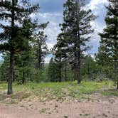 Review photo of Ice Cave Rd Dispersed Site - Pike National Forest by Chris P., July 26, 2023