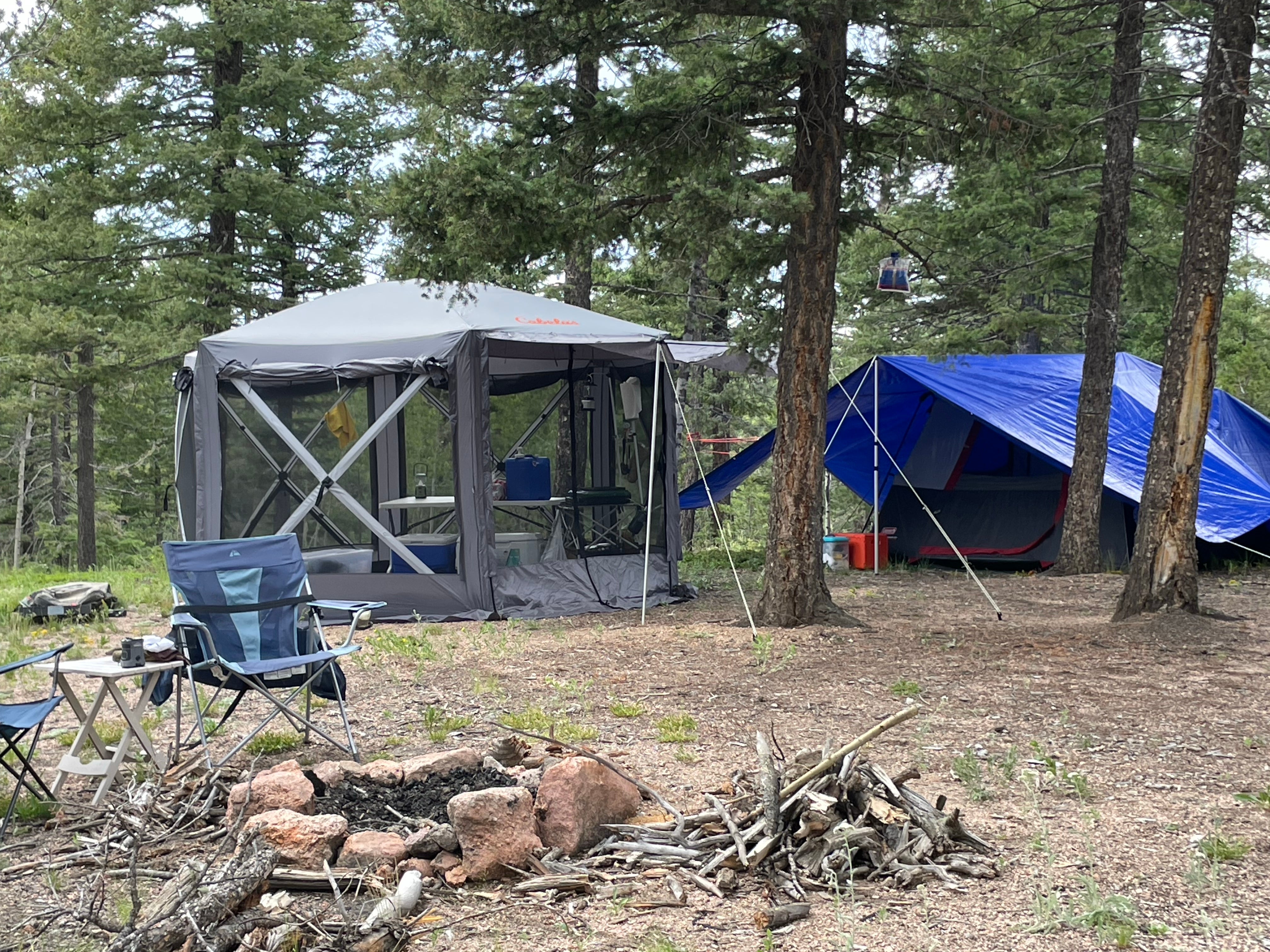 Camper submitted image from Ice Cave Rd Dispersed Site - Pike National Forest - 4