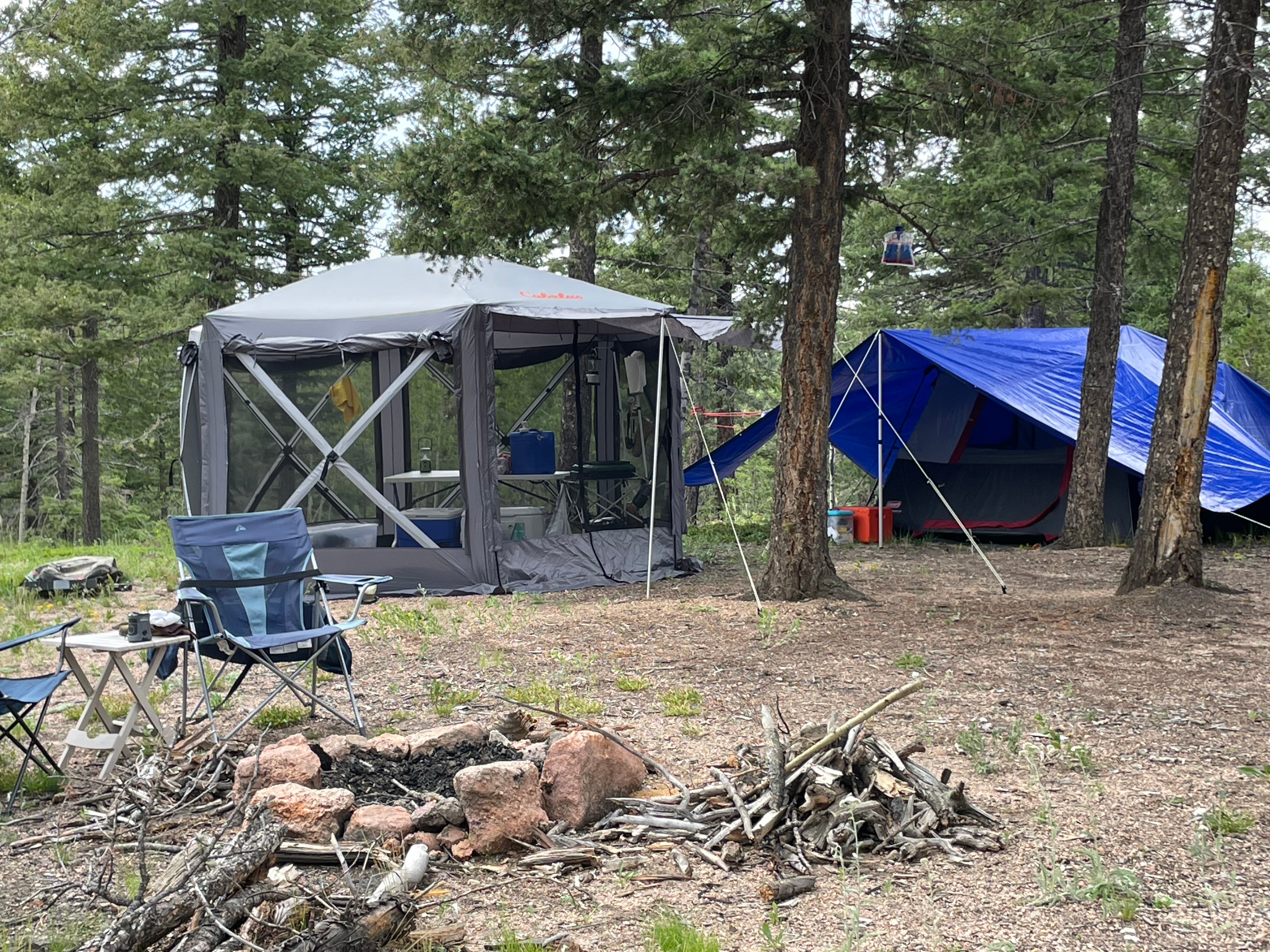 Camper submitted image from Ice Cave Rd Dispersed Site - Pike National Forest - 3