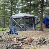 Review photo of Ice Cave Rd Dispersed Site - Pike National Forest by Chris P., July 26, 2023