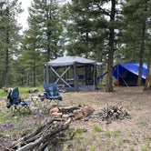 Review photo of Ice Cave Rd Dispersed Site - Pike National Forest by Chris P., July 26, 2023