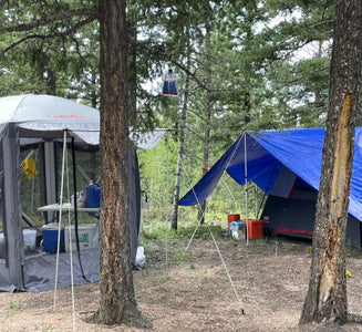 Camper-submitted photo from Ice Cave Rd Dispersed Site - Pike National Forest