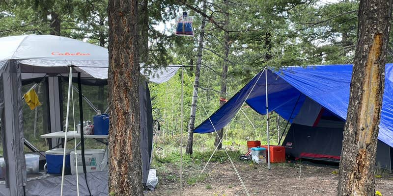 Camper submitted image from Ice Cave Rd Dispersed Site - Pike National Forest