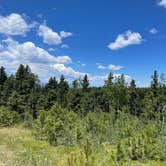 Review photo of Ice Cave Rd Dispersed Site - Pike National Forest by Chris P., July 26, 2023