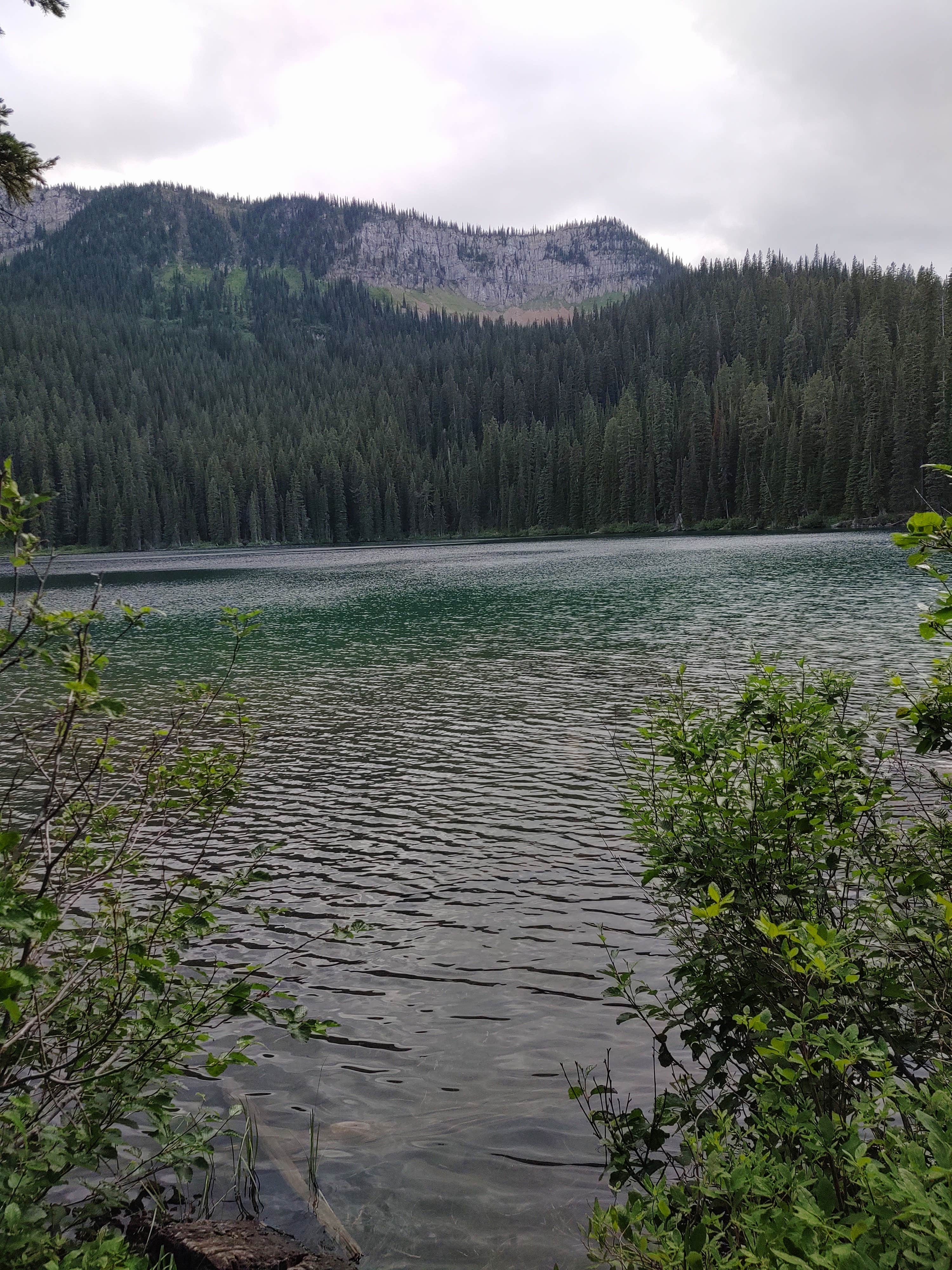 Camper-submitted photo at Big Therriault Lake Campground near Rexford, MT