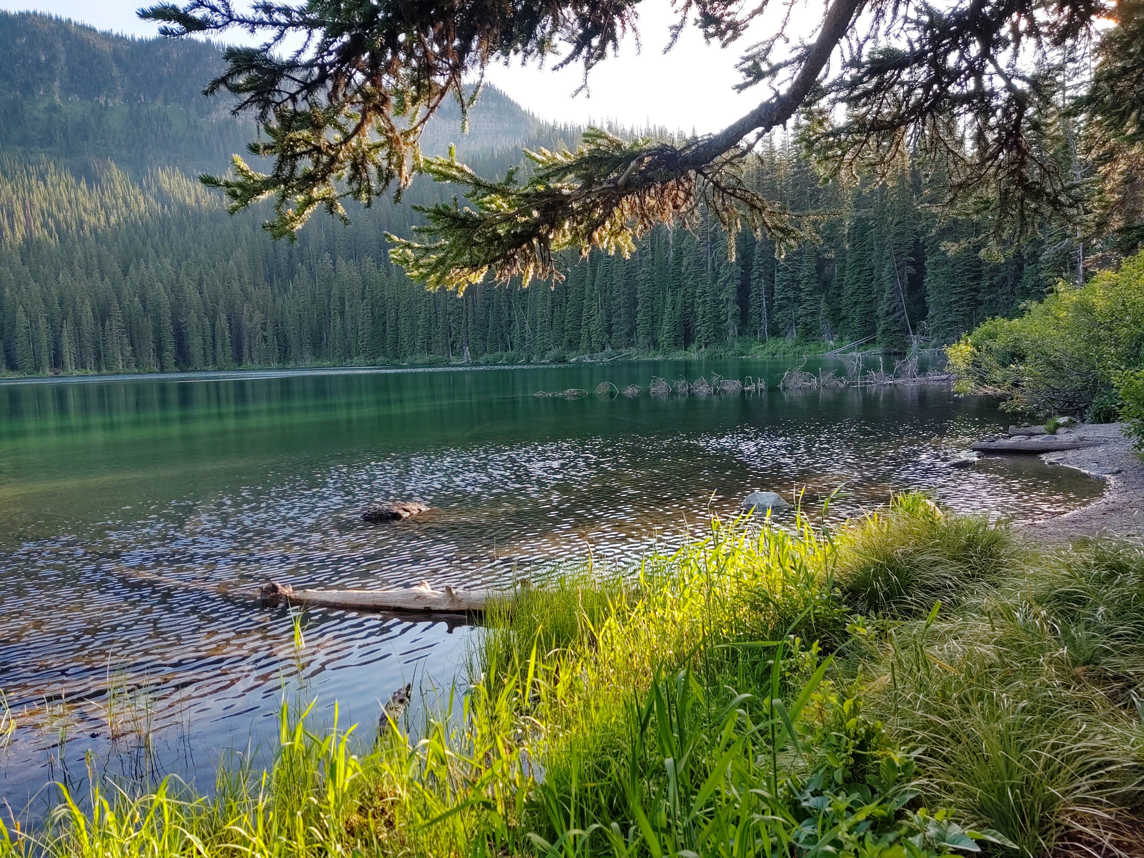 Camper-submitted photo at Big Therriault Lake Campground near Rexford, MT