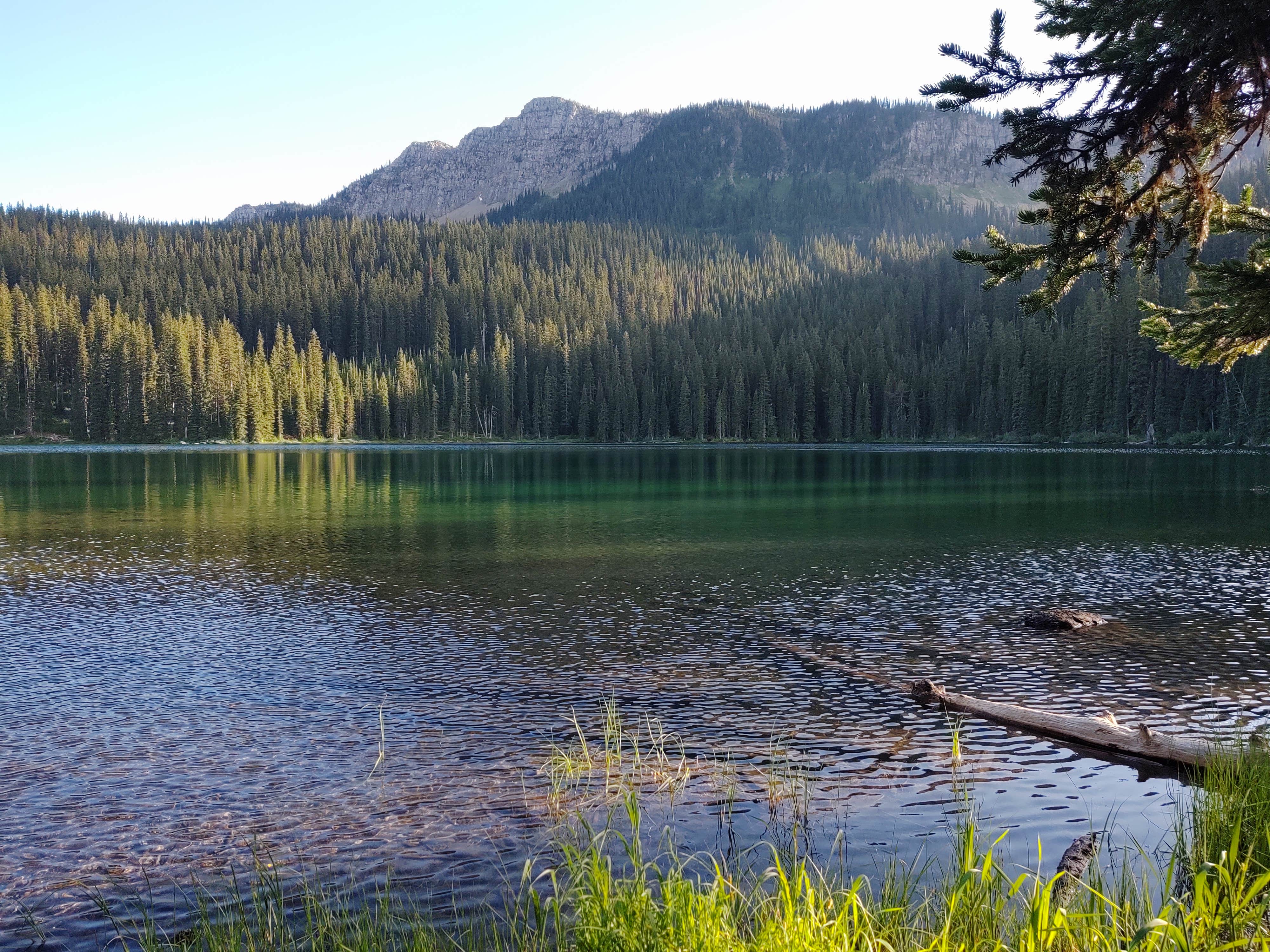 Camper-submitted photo at Big Therriault Lake Campground near Rexford, MT
