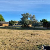 Review photo of Choteau Mountain View Campground by Erin A., July 26, 2023