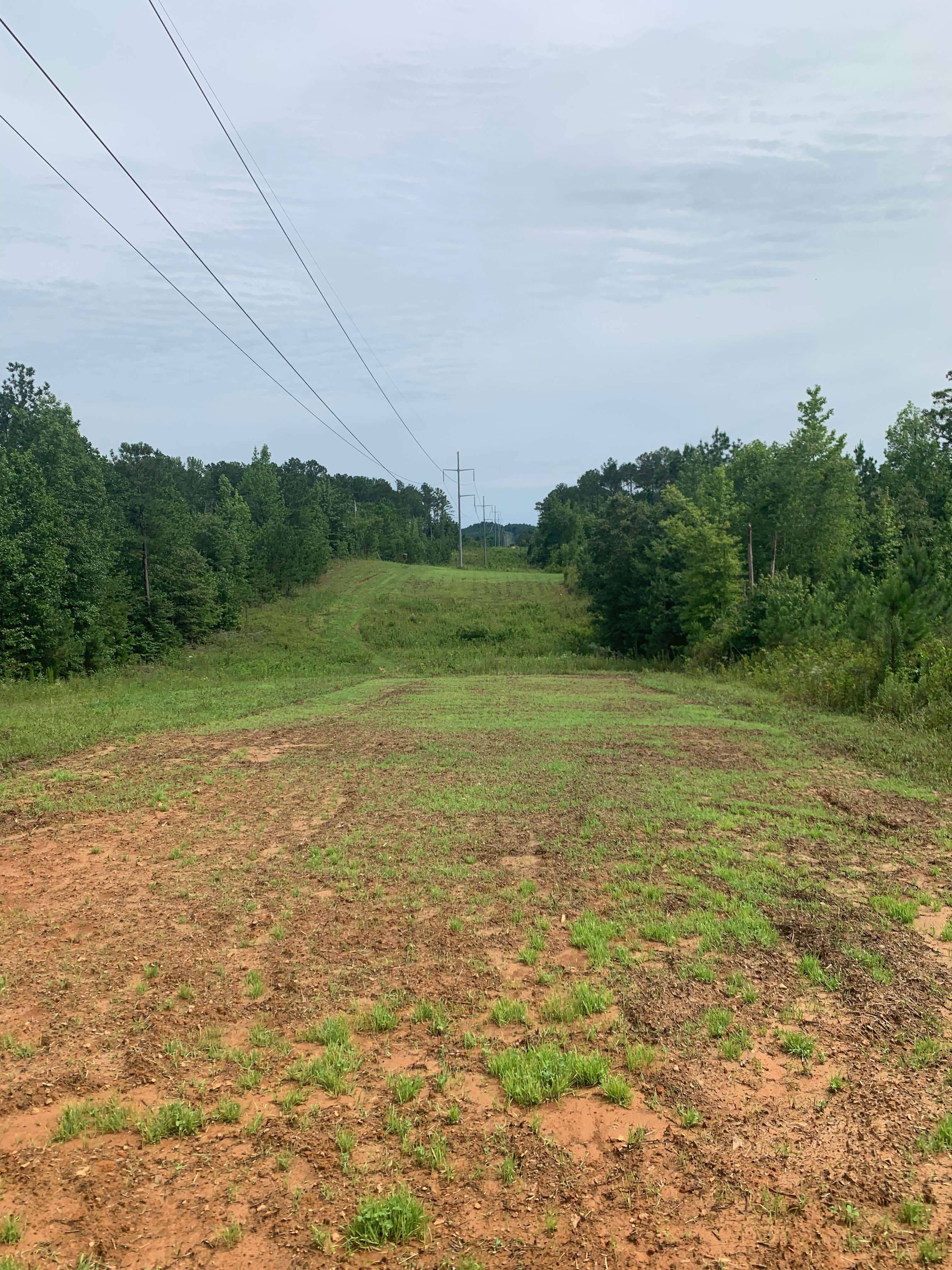 Camper-submitted photo at Ripple Valley Farms near Iuka, MS