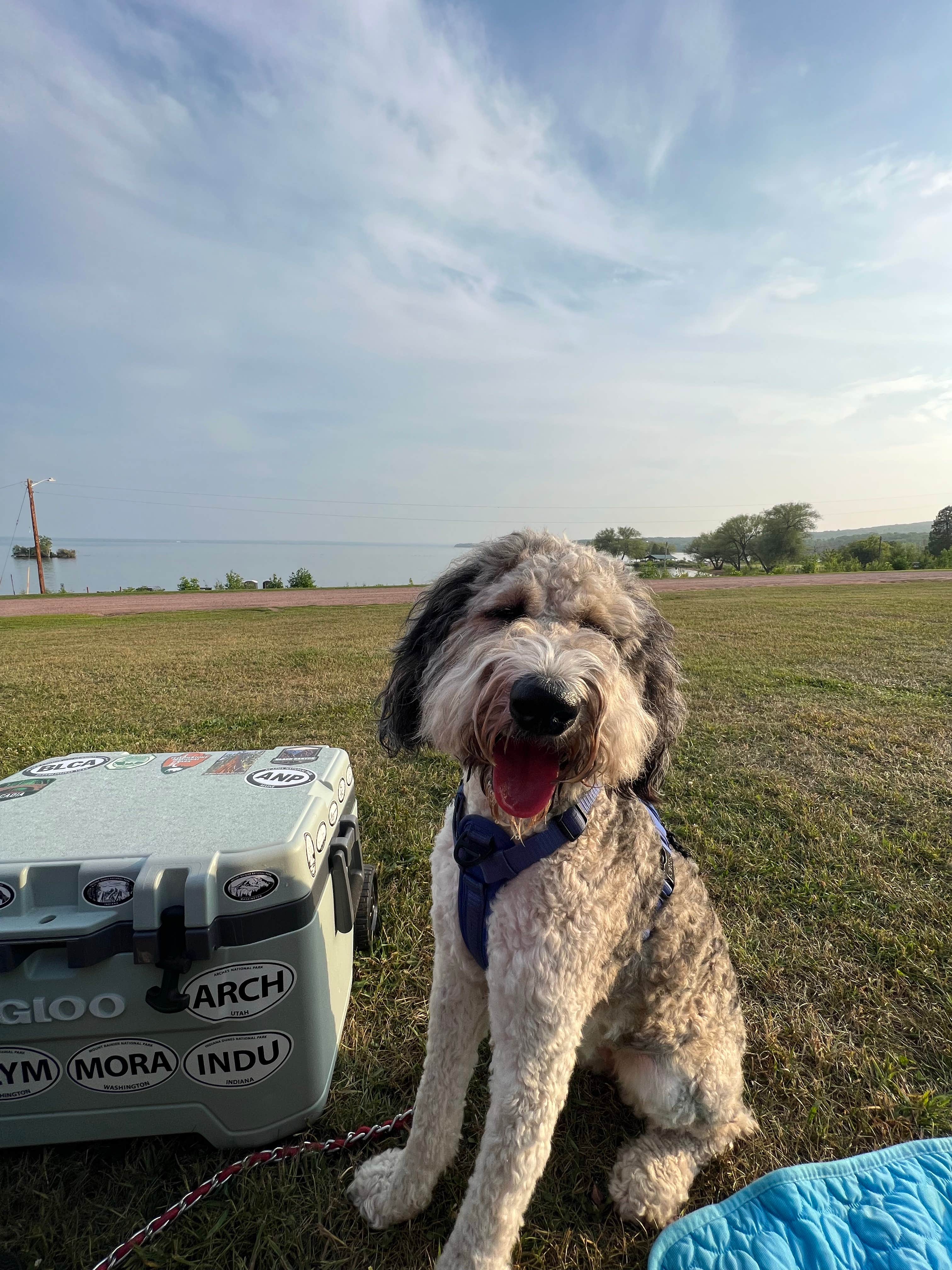 Cassie B.'s photo of camping with pets at West End Thompson City Park near Cornucopia, WI