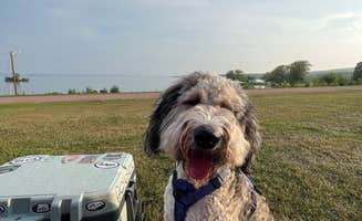 Cassie B.'s photo of camping with pets at West End Thompson City Park near Apostle Islands National Lakeshore