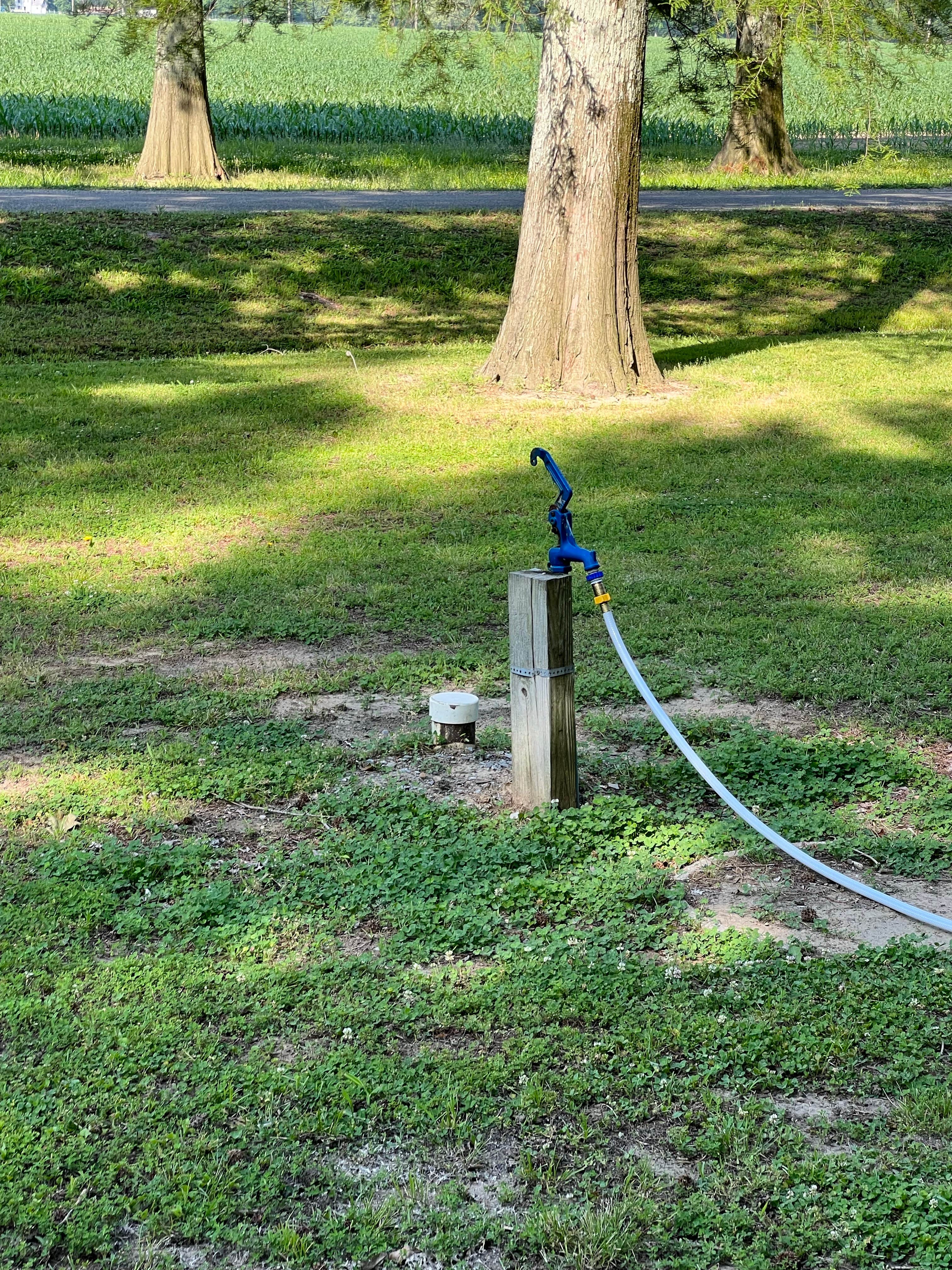 Camper-submitted photo at Horseshoe Lake Alexander County near Cape Girardeau, MO