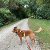 Review photo of Potowatomi Campground — Kankakee River State Park by Art S., July 26, 2023