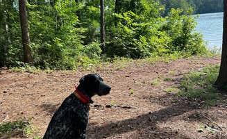 Caitlin S.'s photo of camping with pets at R. Shaefer Heard Campground near Columbus, GA