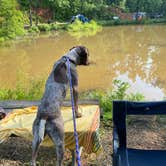 Review photo of Jenny's Creek Family Campground by Caitlin S., July 26, 2023