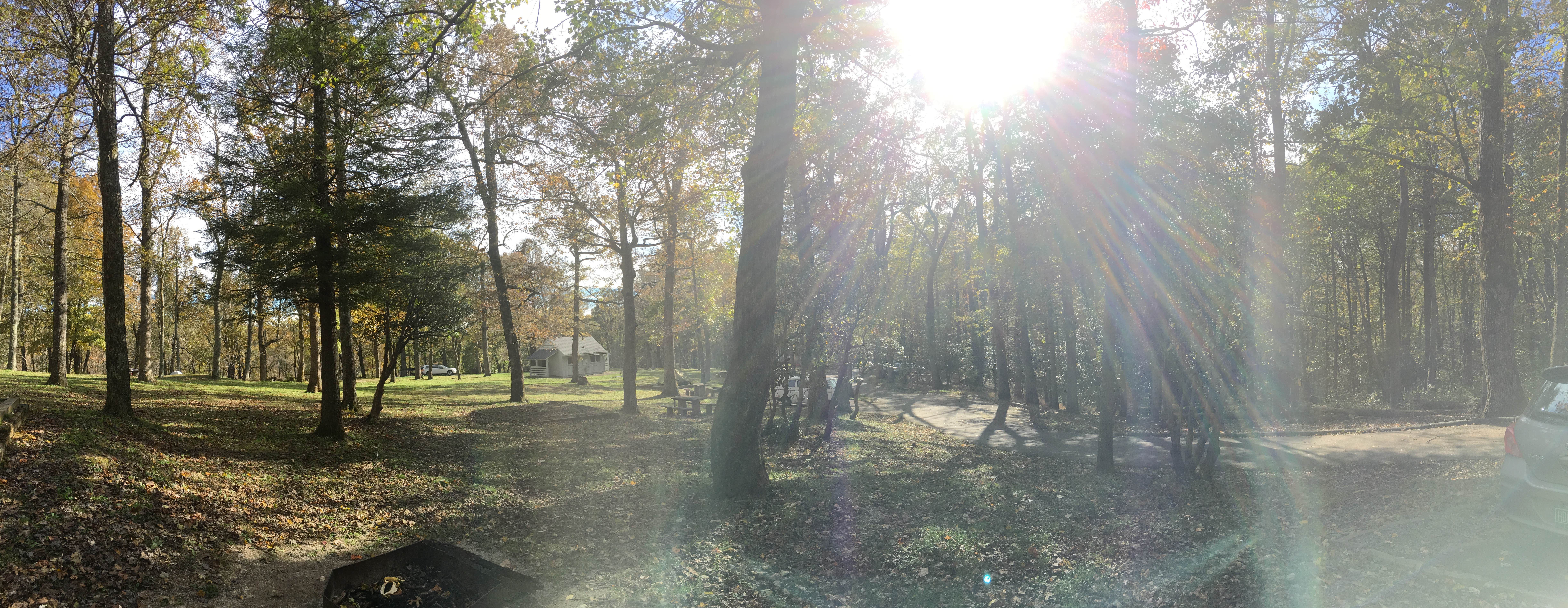 Nature