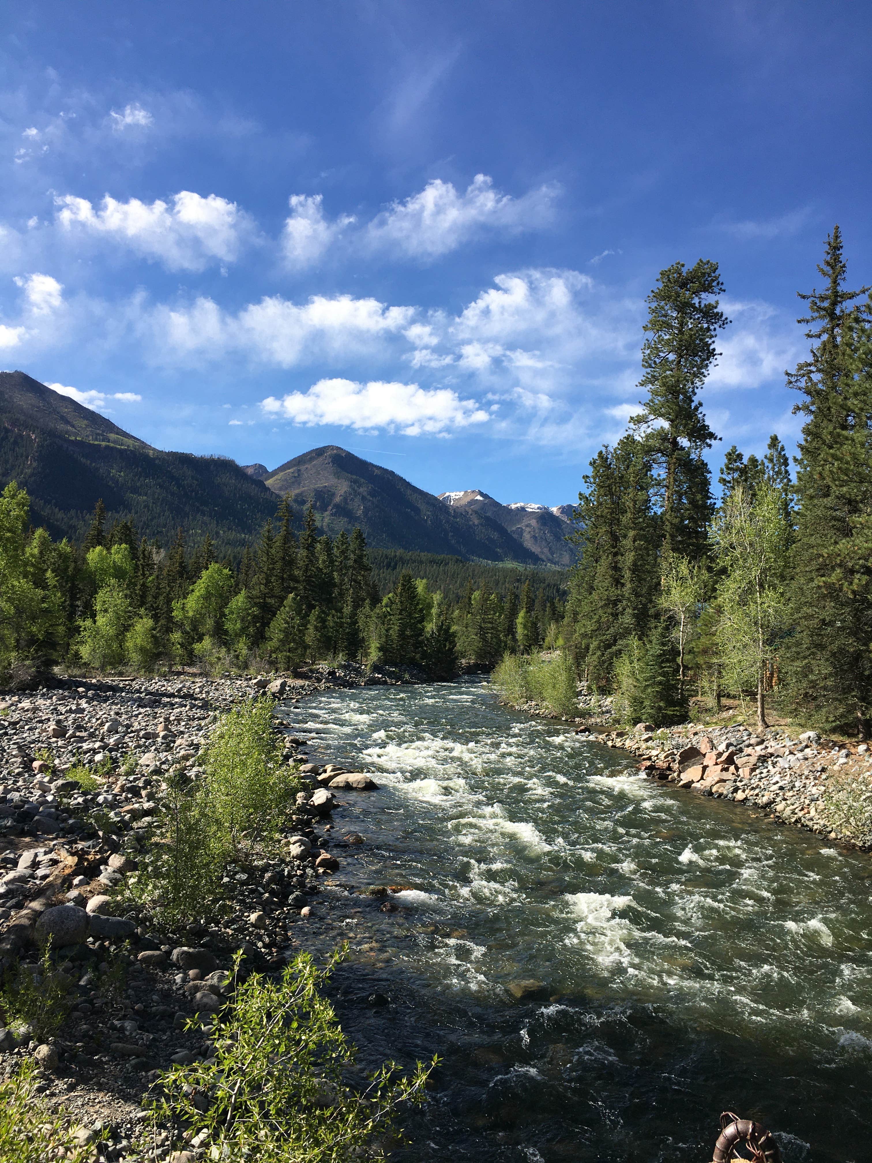 Camper submitted image from Transfer Park Campground — San Juan National Forest - 3