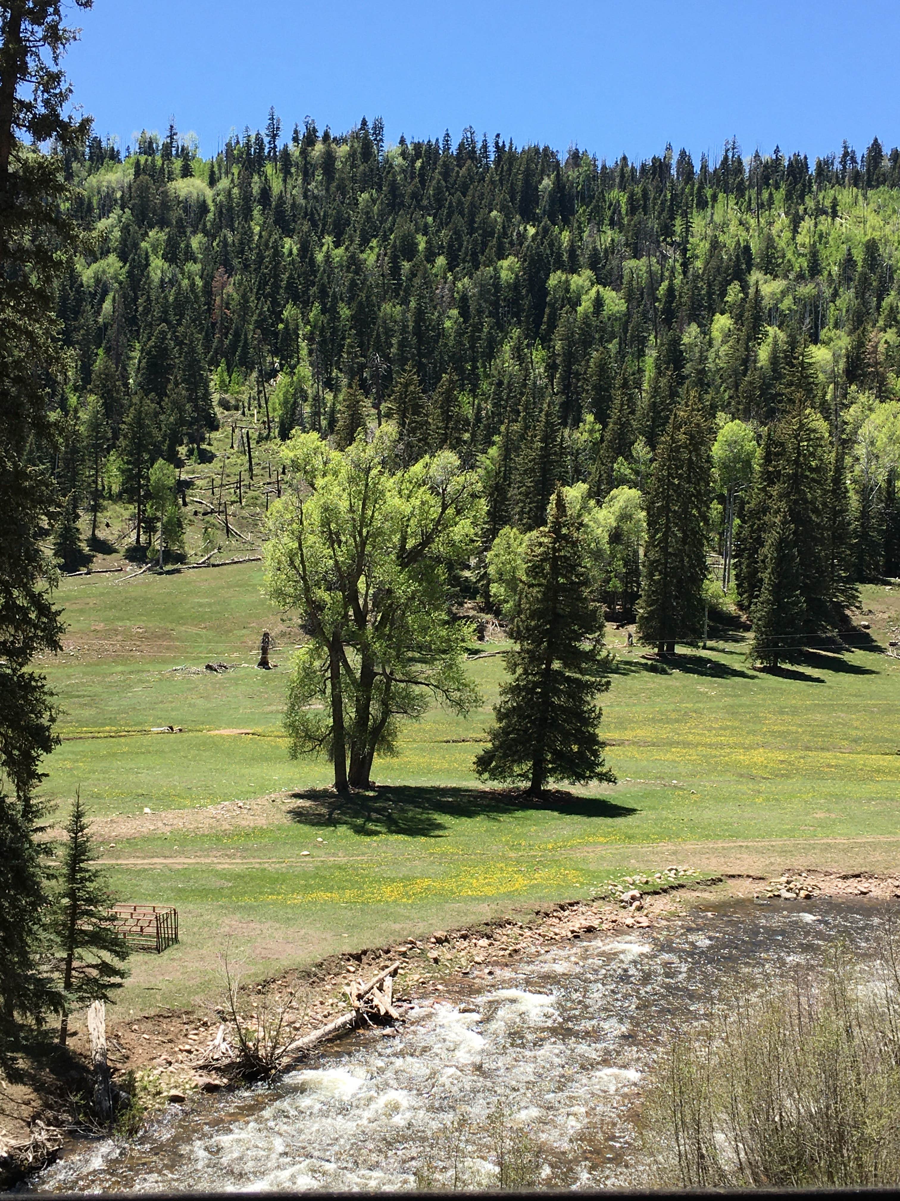 Camper submitted image from Transfer Park Campground — San Juan National Forest - 5