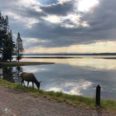 Review photo of Grant Village Campground — Yellowstone National Park by Erin S., October 25, 2018