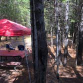 Review photo of Grant Village Campground — Yellowstone National Park by Erin S., October 25, 2018