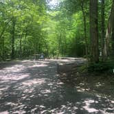 Review photo of Deep Creek Campground — Great Smoky Mountains National Park by Roger W., July 25, 2023