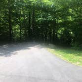 Review photo of Deep Creek Campground — Great Smoky Mountains National Park by Roger W., July 25, 2023