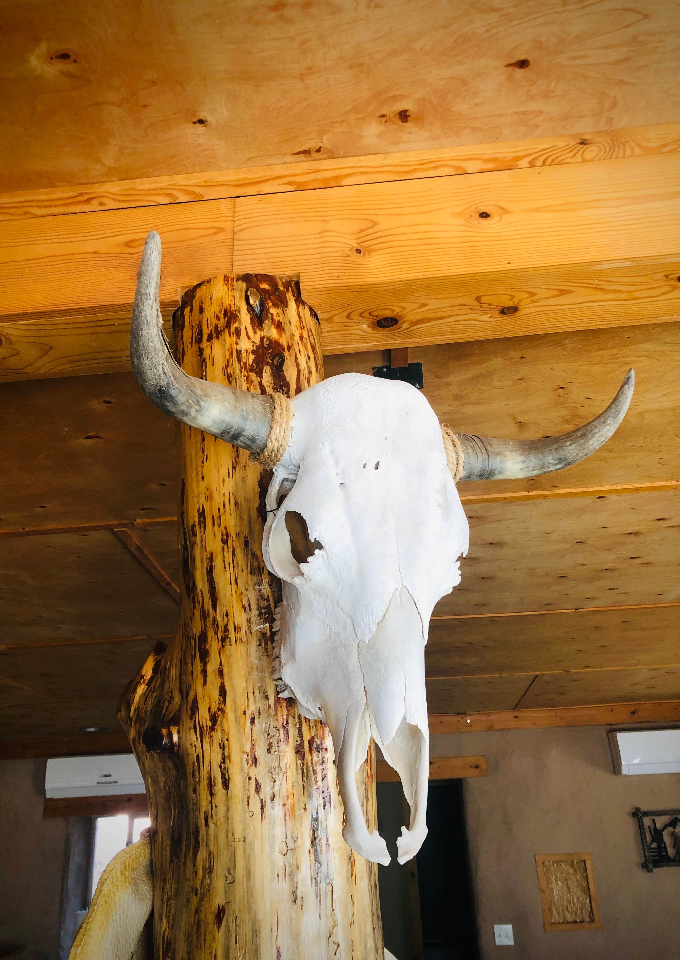 Camper-submitted photo at Gleatherland near Fort Bliss, TX