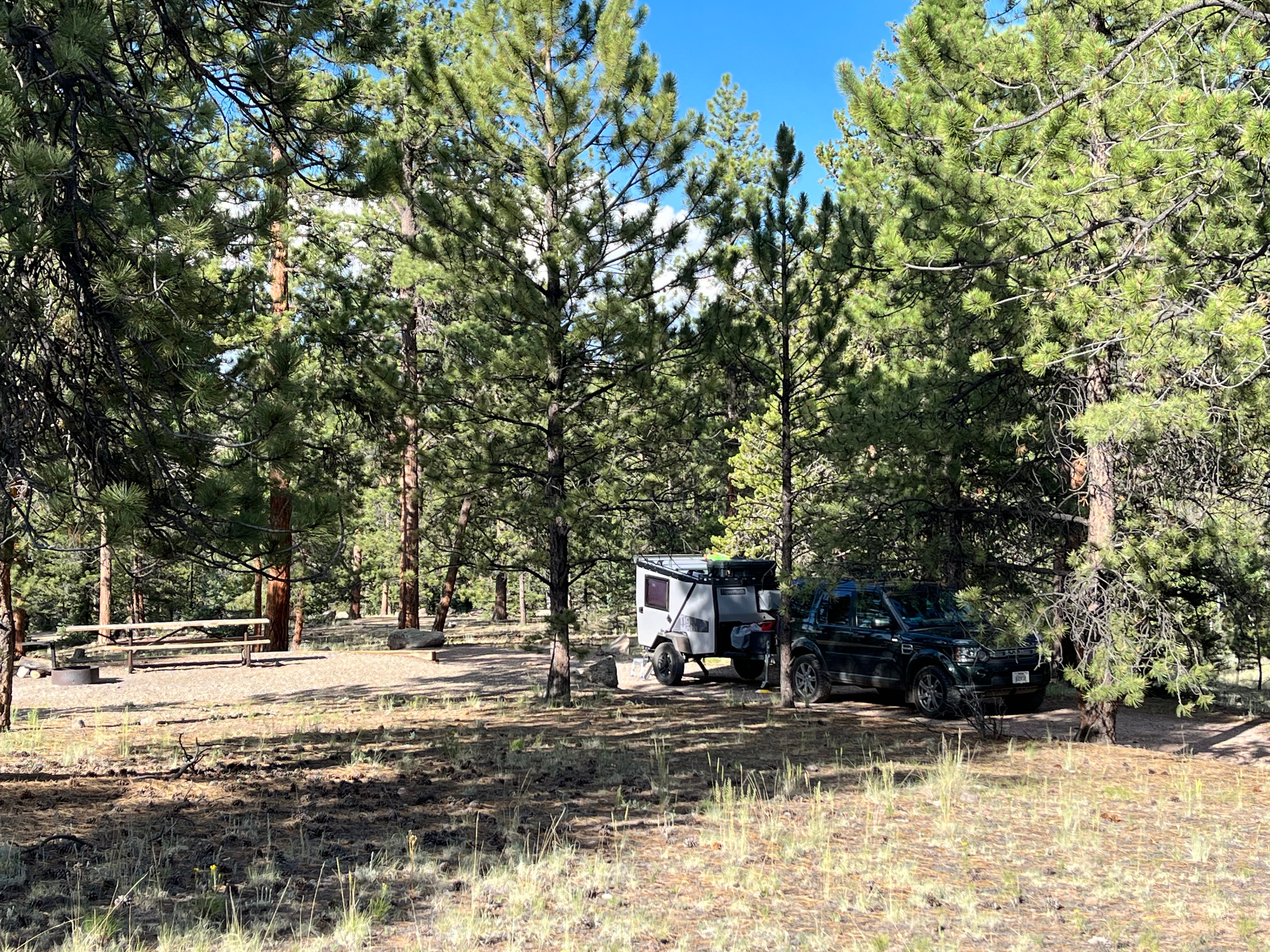 Camper submitted image from Buffalo Pass Campground - 1