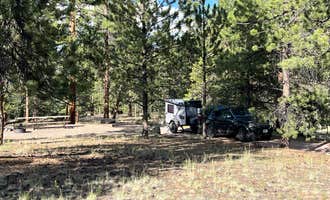 Camping near Upper Crossing Guard Station: Buffalo Pass Campground, Sargents, Colorado