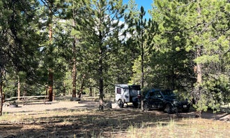 Camping near Upper Crossing Guard Station: Buffalo Pass Campground, Sargents, Colorado