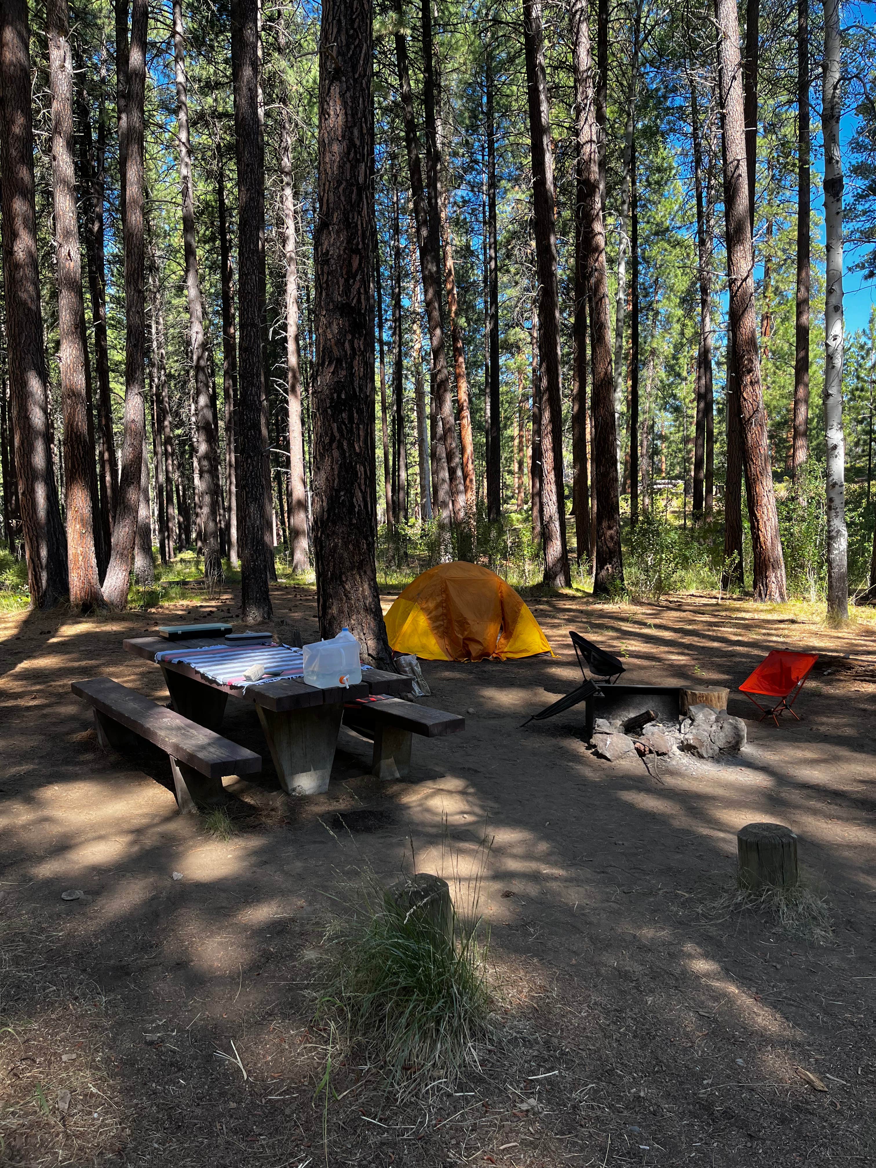 Robin D.'s photo at Cold Springs Campground (OR) near Sisters, OR