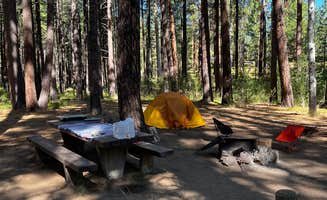 Robin D.'s photo at Cold Springs Campground (OR) near Sisters, OR