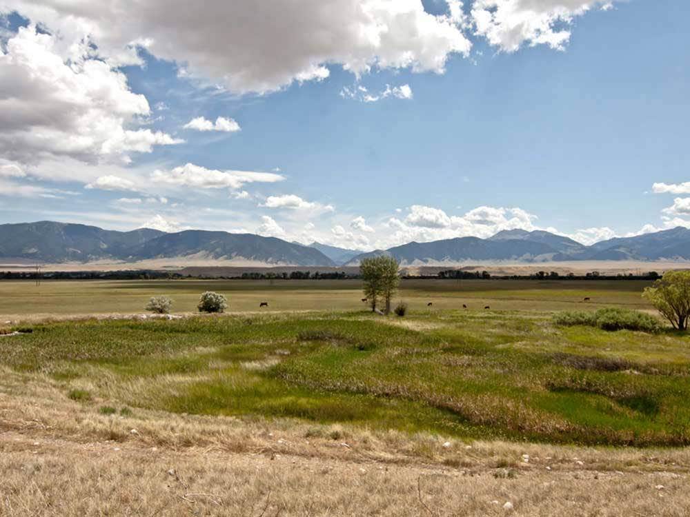 Camper-submitted photo at Ennis RV Park by Starry Night Lodging near Virginia City, MT