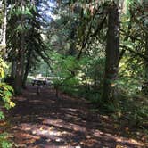 Review photo of Ripplebrook Campground CLOSED INDEFINITELY DUE TO FIRE by Bjorn S., October 25, 2018