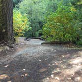 Review photo of Ripplebrook Campground CLOSED INDEFINITELY DUE TO FIRE by Bjorn S., October 25, 2018