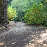 Review photo of Ripplebrook Campground CLOSED INDEFINITELY DUE TO FIRE by Bjorn S., October 25, 2018