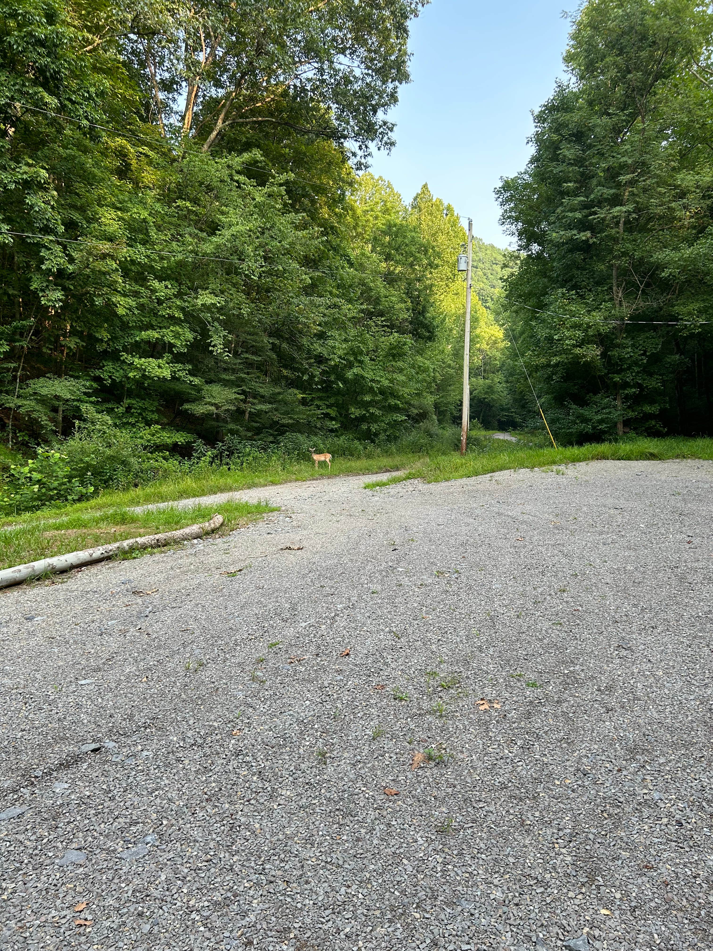 Camper-submitted photo at DaLazyBear near Hacker Valley, WV