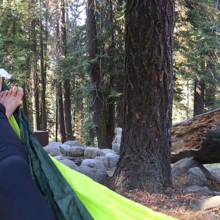 Lodgepole Campground Camping Sequoia National Park, CA The Dyrt