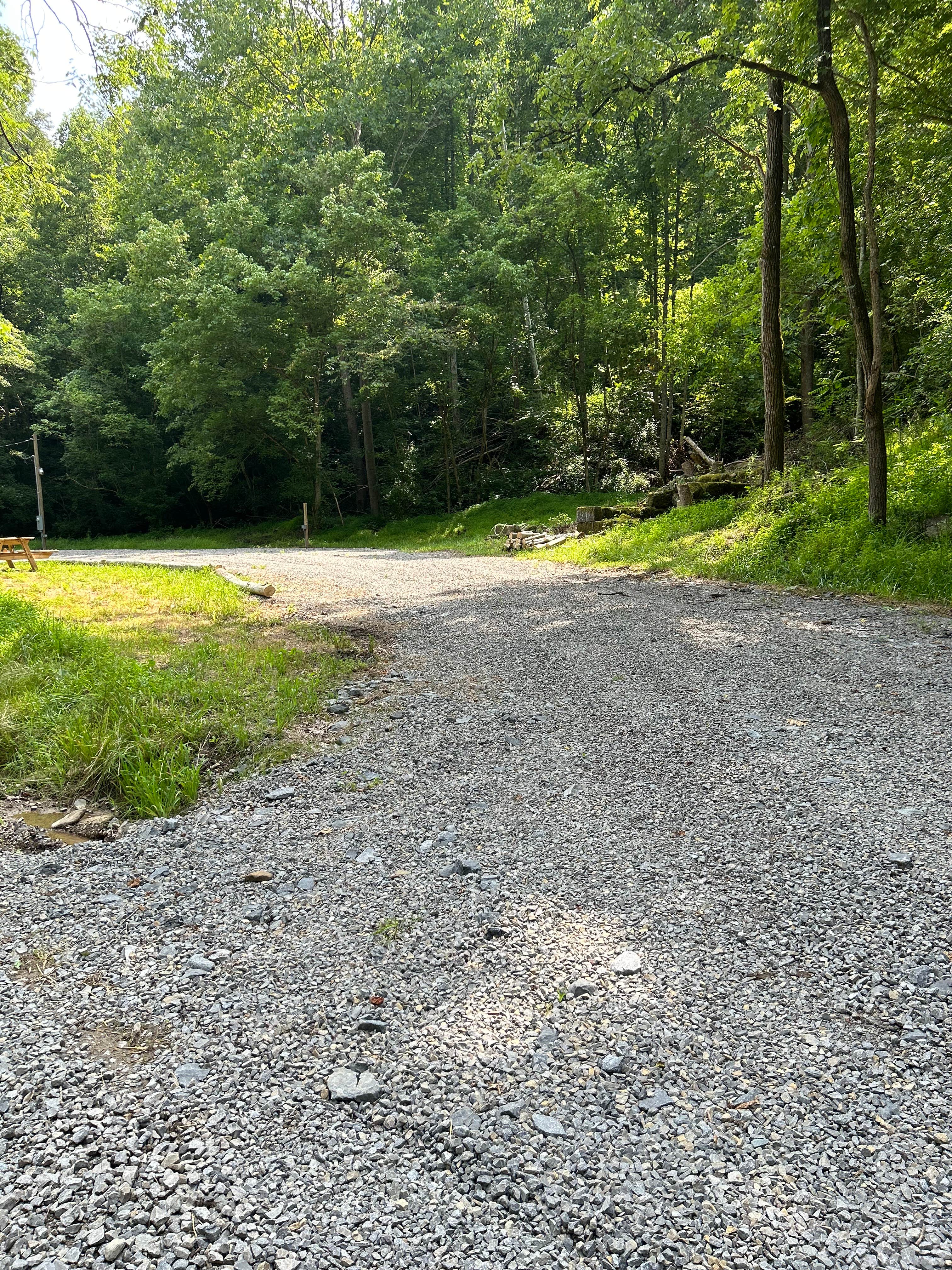 Camper-submitted photo at DaLazyBear near Hacker Valley, WV