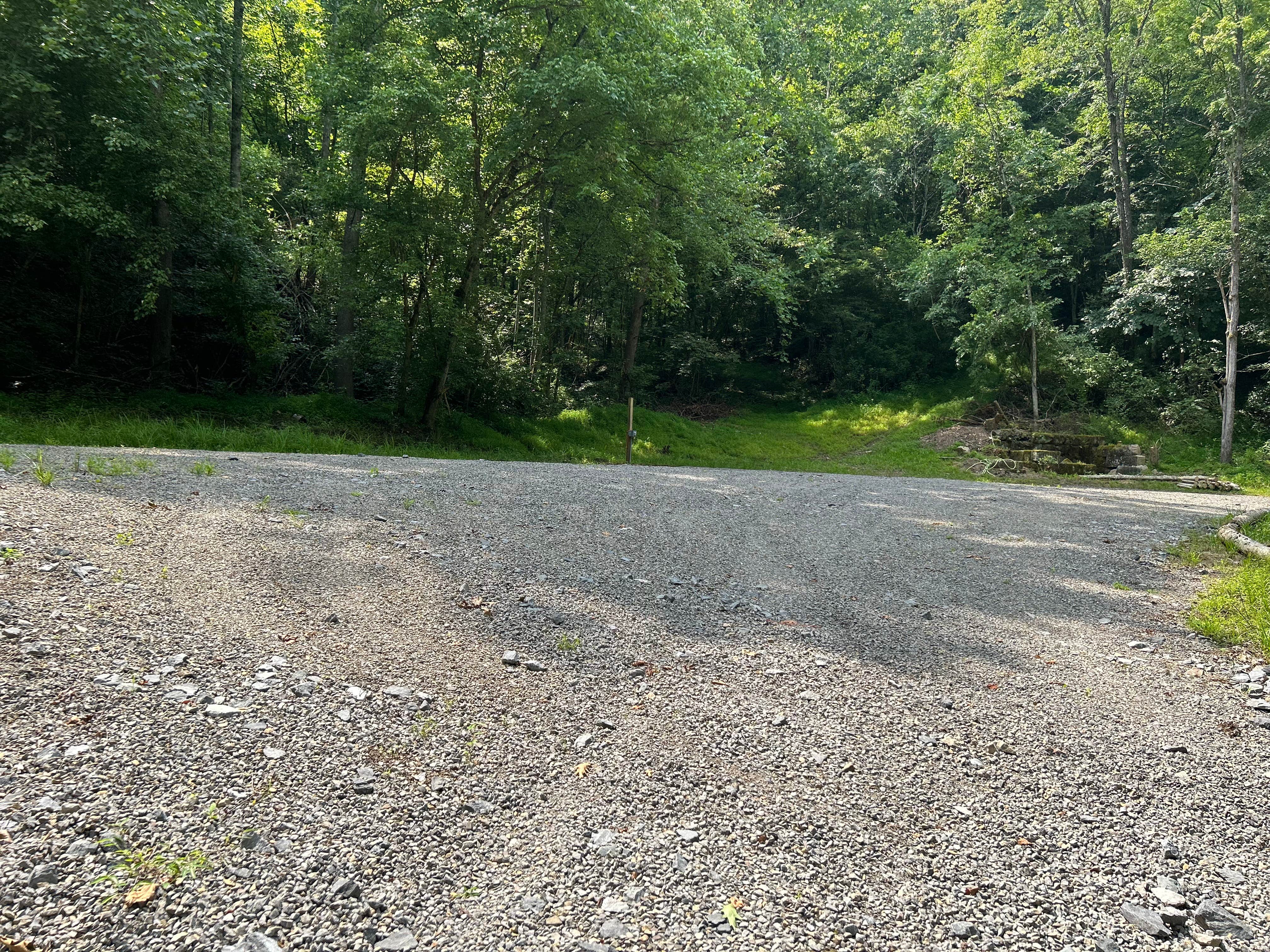 Camper-submitted photo at DaLazyBear near Hacker Valley, WV