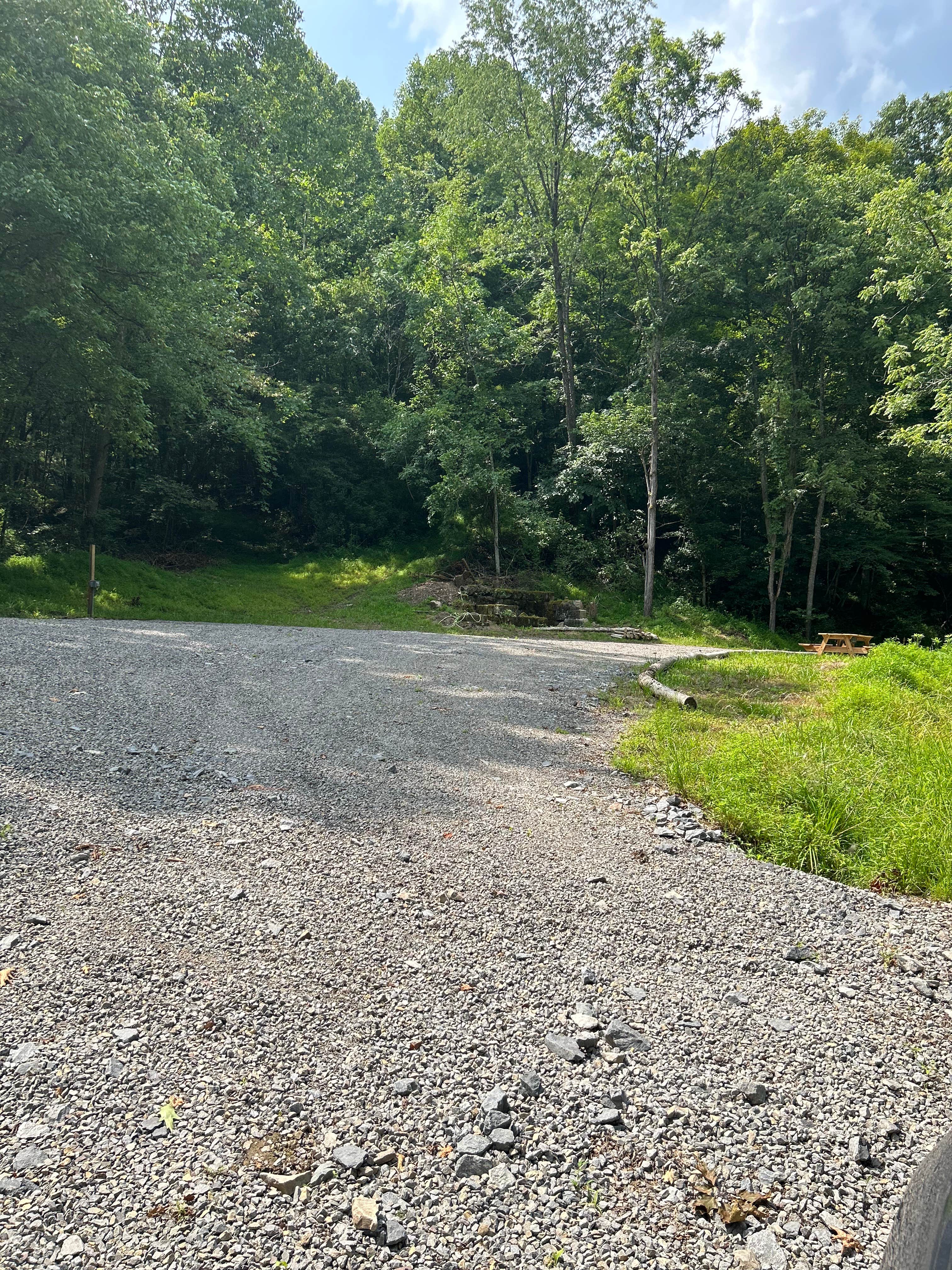 Camper-submitted photo at DaLazyBear near Hacker Valley, WV