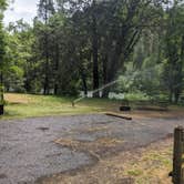 Review photo of Rogue Elk County Park by Laura M., July 27, 2023