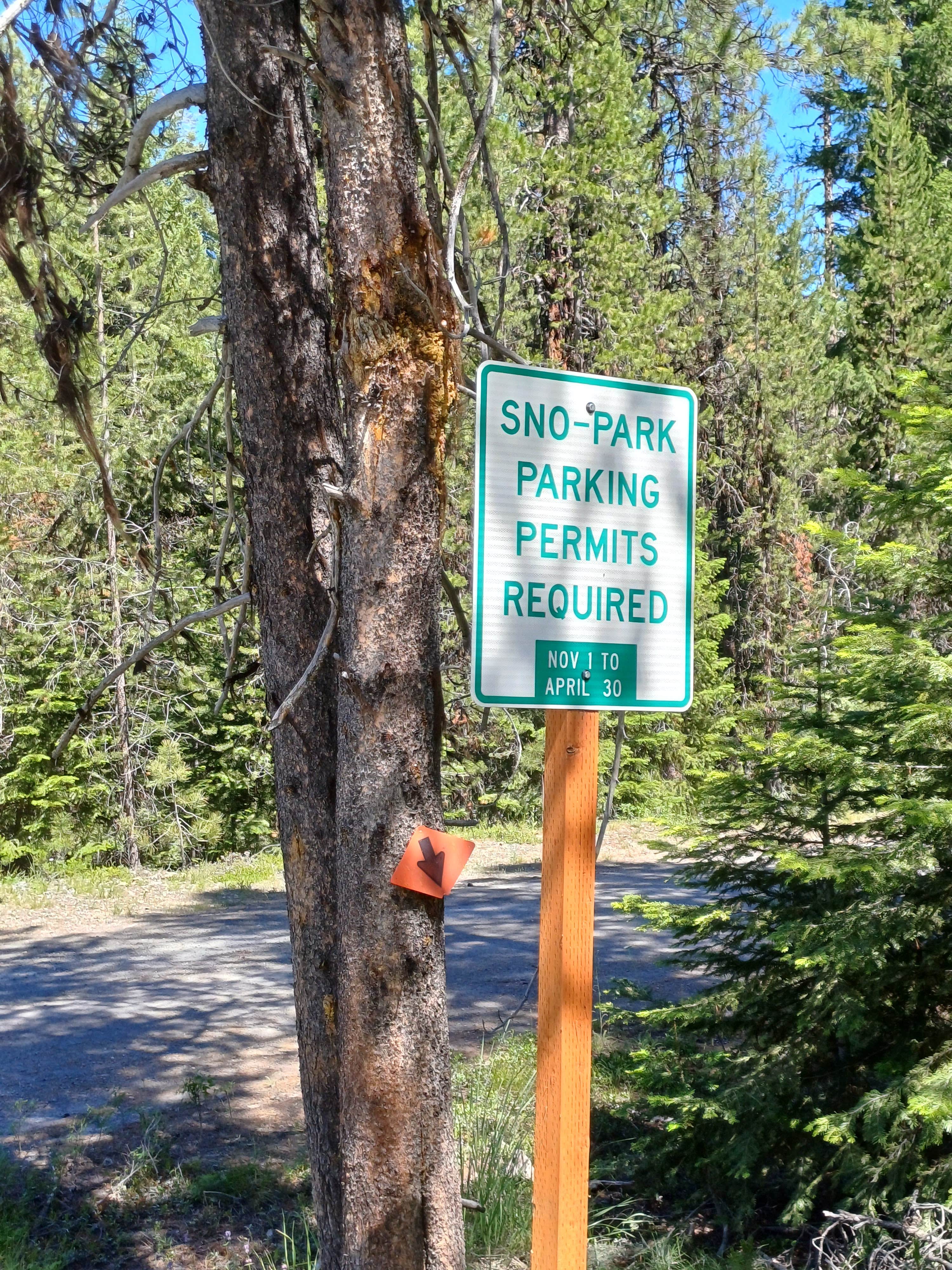 Camper submitted image from Blue Mtn Sno Park - 3
