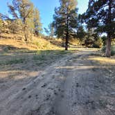 Review photo of Painted Hills Dispersed by Laura M., July 27, 2023